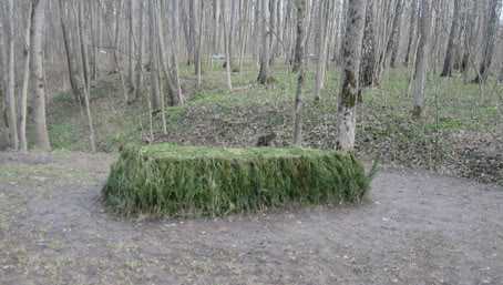 tolstoi-1