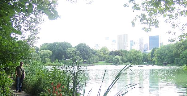 la-ciudad-vertical-CentralPark