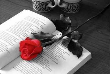 rosa_y_libro