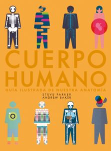 Cuerpo humano