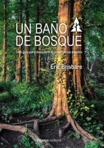 un baño de bosque