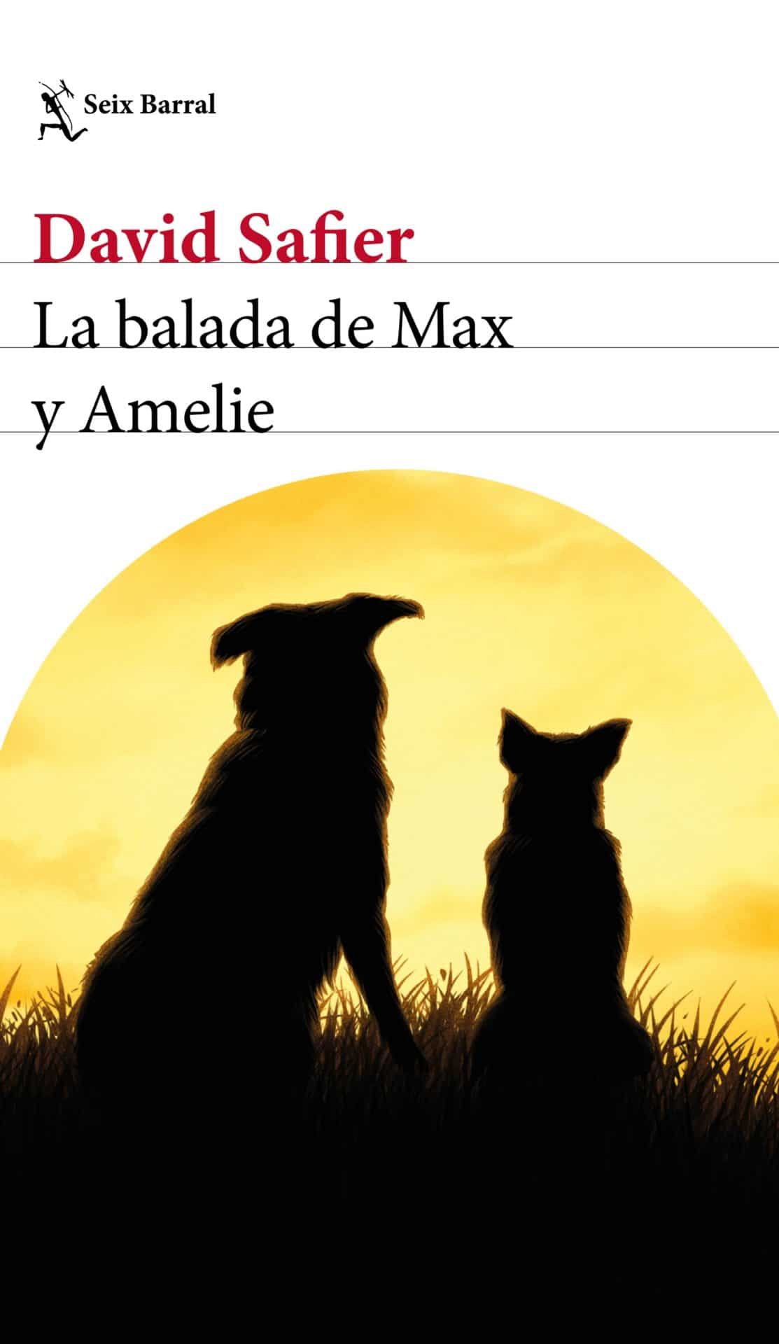 Resultado de imagen para La balada de Max y Amelie